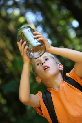 Website designs, marketing & management for public & private colleges.