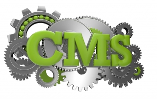 website designs, content management systems